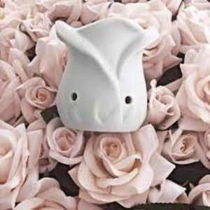 Scentsy Tea Rose Mini Warmer